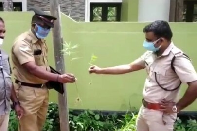 News18 Malayalam 