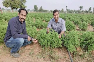 News18