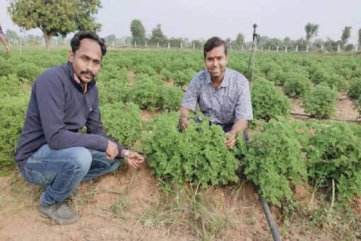 News18
