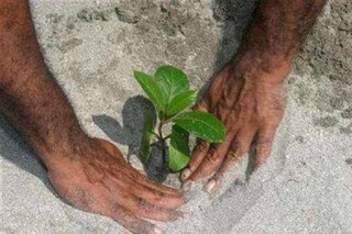 (പ്രതീകാത്മക ചിത്രം: റോയിട്ടേഴ്സ്) (പ്രതീകാത്മക ചിത്രം: റോയിട്ടേഴ്സ്)