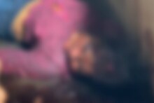 മലപ്പുറത്ത് ഒറ്റയ്ക്ക് താമസിച്ചിരുന്ന വയോധികയെ മരിച്ചനിലയിൽ കണ്ടെത്തി; ദുരൂഹത