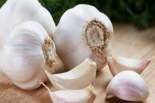 Garlic 