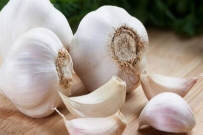 Garlic 