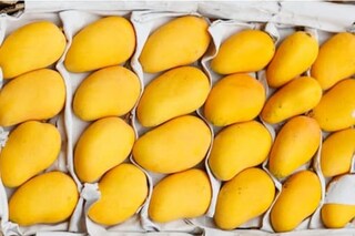 പ്രതീകാത്മക ചിത്രം
