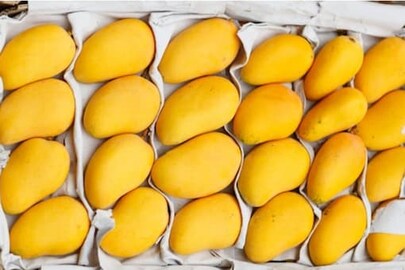 പ്രതീകാത്മക ചിത്രം
