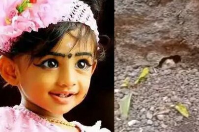 നീലാംബരി