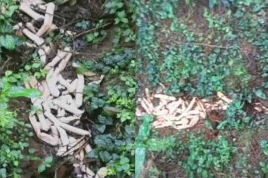 News18 Malayalam