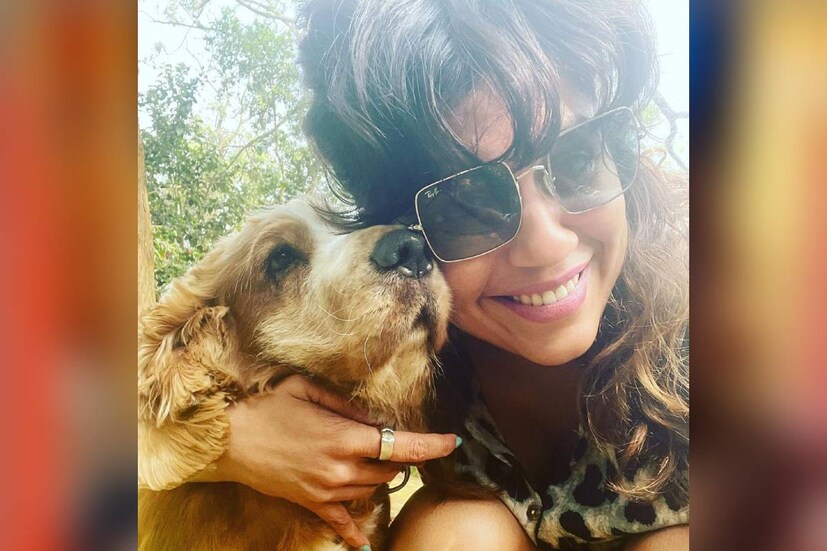  രഞ്ജിനിക്ക് നേരെ വ്യക്തിഹത്യ നടത്തിക്കൊണ്ടായിരുന്നു കഴിഞ്ഞ ദിവസം അസഭ്യ വർഷത്തിന് ഇയാൾ തുടക്കമിട്ടത്. ഇതിനു രഞ്ജിനി മാത്രമല്ല, ഫോളോവേഴ്സ് ലിസ്റ്റിൽ നിന്നും കമന്റ് ചെയ്ത പലരും യുവാവിനോട് രൂക്ഷമായി തന്നെ പ്രതികരിച്ചു. എന്നിട്ടും ഇയാൾ വിടാൻ ഭാവമില്ലാതെ തുടരുകയായിരുന്നു. രഞ്ജിനിയുടെ 'സ്വഭാവമറിയാനുള്ള' ലിങ്ക് പോസ്റ്റ് ചെയ്താണ് തുടക്കം. അതിനു ഉരുളക്കുപ്പേരി പോലെ രഞ്ജിനി മറുപടിയും നൽകി