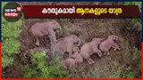 Video | ശാസ്‌ത്ര ലോകത്തിന് കൗതുകമായി ചൈനയിലെ ആനകളുടെ യാത്ര