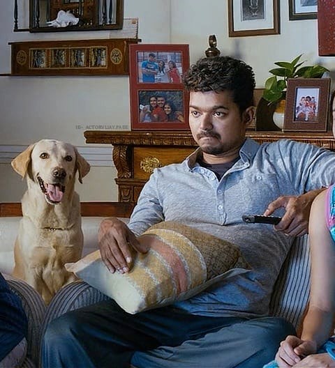  വാഹനം ചെന്നൈ സൗത്തിലെ റീജിയണൽ ട്രാൻസ്‌പോർട്ട് ഓഫീസറുടെ ഓഫീസിൽ രജിസ്റ്റർ ചെയ്യേണ്ടതുണ്ടായിരുന്നു. പുതിയ രജിസ്ട്രേഷൻ ലഭിക്കുന്നതിന് വിജയ് റീജിയണൽ ട്രാൻസ്പോർട്ട് ഓഫീസറെയും വെഹിക്കിൾ ഇൻസ്പെക്ടറെയും സമീപിച്ചപ്പോൾ, ചെന്നൈയിലെ അസിസ്റ്റന്റ് കമ്മീഷണർ, അസസ്മെന്റ് സർക്കിളിൽ എന്നിവരിൽ നിന്ന് എൻട്രി ടാക്സ് നൽകേണ്ടതില്ലെന്ന സർട്ടിഫിക്കറ്റ് വേണമെന്ന് ആവശ്യപ്പെട്ടു.