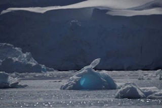 An iceberg floats along the water, close to Fournier Bay, Antarctica. (Credit: REUTERS/Ueslei Marcelino)

