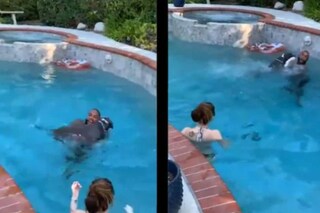 Video grab of dog saving human. (Credit: Twitter)
