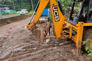 തൃക്കാക്കരയില്‍ നടന്നത് നായ്ക്കളുടെ കൂട്ടക്കൊല; ചവറുകൂനയില്‍ നിന്ന് നിരവധി നായ്ക്കളുടെ ജഡങ