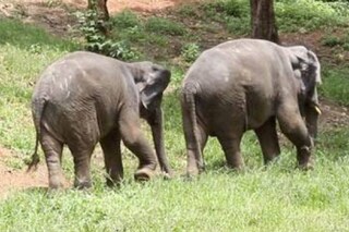 (പ്രതീകാത്മക ചിത്രം)