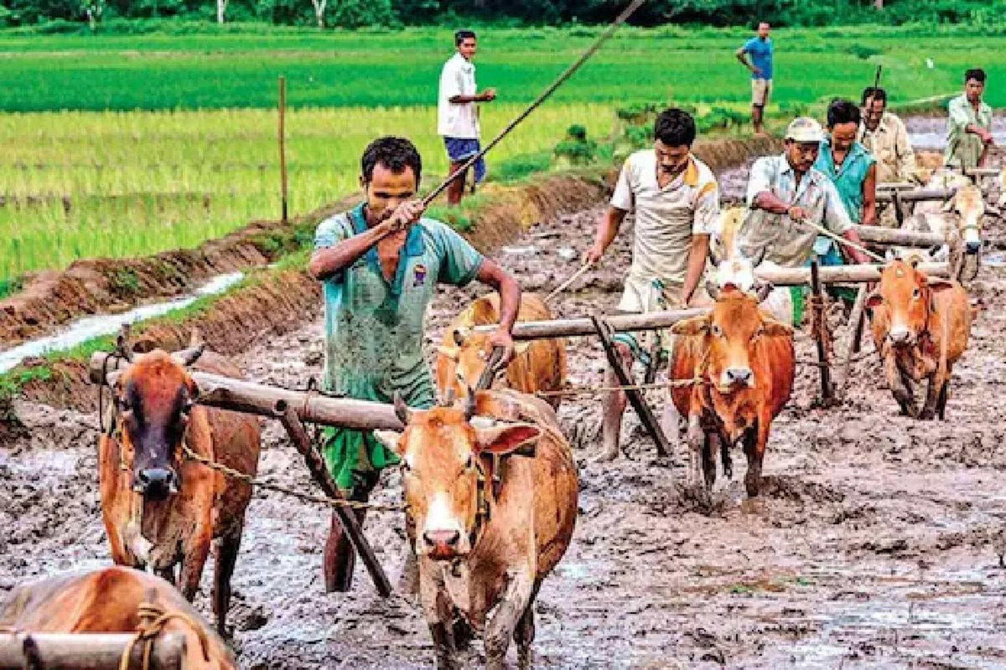 പിഎം കിസാന്‍ പദ്ധതി; അര്‍ഹതയില്ലാത്ത 42 ലക്ഷം കര്‍ഷകര്‍ക്ക് വിതരണം ചെയ്തത് 3,000 കോടി