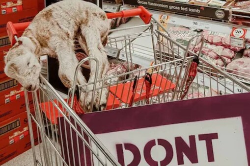 A frozen dead lamb was paraded at a supermarket in Australia. (Image Credits: Instagram/@vganbooty)
