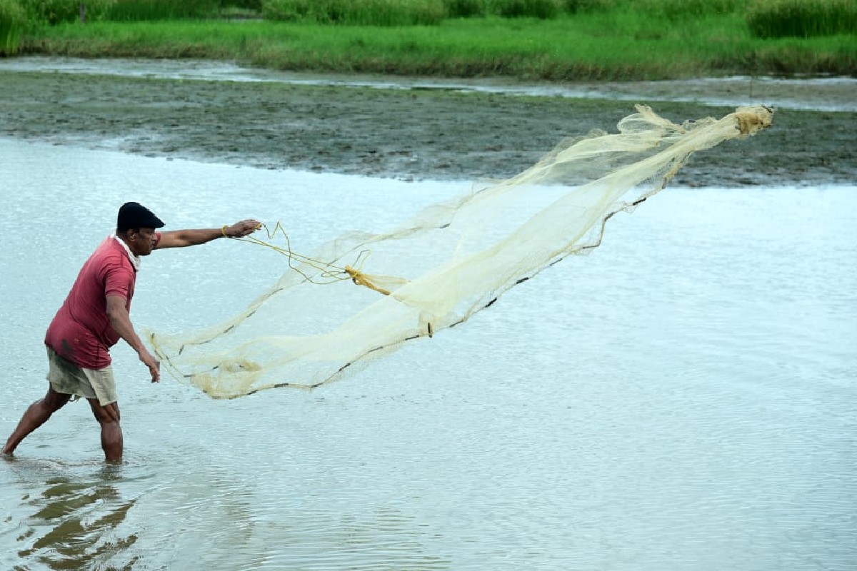  അഞ്ഞൂറേക്കറിലധികം നീണ്ടു കിടക്കുന്ന കൈപ്പാട് നിലത്ത് ചെറുതോടുകള്‍ കീറി കൊച്ചുവളളങ്ങളില്‍ യാത്ര ചെയ്യാം. കൈപ്പാടരിയുടെ ചോറും നല്ല മീന്‍കറിയും കഴിച്ച് കാഴ്ചകള്‍ ആസ്വദിക്കാം. വിദ്യാര്‍ഥികള്‍ക്കും ഗവേഷകര്‍ക്കും ഈ ജൈവകൃഷി രീതികള്‍ നേരിട്ടു പഠിക്കാനും കണ്ടലിനെ അറിയാനുമുള്ള അവസരവും ഫാം ടൂറിസം പദ്ധതിയിലൂടെ നടപ്പാക്കും. ഒപ്പം പ്രദേശവാസികളായ കര്‍ഷകര്‍ക്കും മത്സ്യത്തൊഴിലാളികള്‍ക്കും കൂടുതല്‍ തൊഴില്‍ സാധ്യതകള്‍ ഒരുക്കുന്നതിനും ഇത് സഹായിക്കും. കൈപ്പാട് അരിയുടെ പ്രചാരവും വിപണവും വര്‍ധിപ്പിക്കുന്നതിനും മൂല്യവര്‍ധിത ഉല്പന്നങ്ങളുടെ സാധ്യതകള്‍ തേടുന്നതിനും പദ്ധതിയിലൂടെ സാധിക്കുമെന്ന് കര്‍ഷകന്‍ കൂടിയായ ഏഴോം ഗ്രാമ പഞ്ചായത്ത് പ്രസിഡണ്ട് പി ഗോവിന്ദന്‍ പറയുന്നു. അപൂര്‍വമായ ഈ കാര്‍ഷിക മേഖലയിലേക്ക് യുവകര്‍ഷകരെയും സംരംഭകരെയും ആകര്‍ഷിക്കുക കൂടിയാണ് പദ്ധതിയുടെ ലക്ഷ്യം.