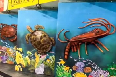 Video grab of the aquatic kingdom. (Credit: Instagram)