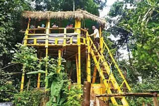 മരത്തിനു മുകളിലെ വീട്ടിൽ അധ്യാപകൻ 