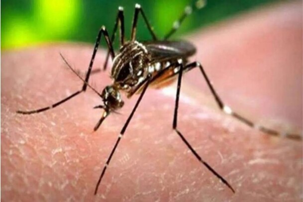 Zika Virus| സംസ്ഥാനത്ത് 5 പേര്‍ക്ക് കൂടി സിക വൈറസ് സ്ഥിരീകരിച്ചു