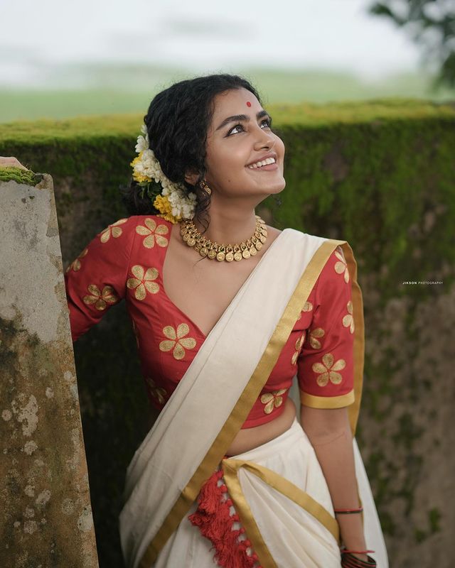  (Image: anupama parameswaran/Instagram)
