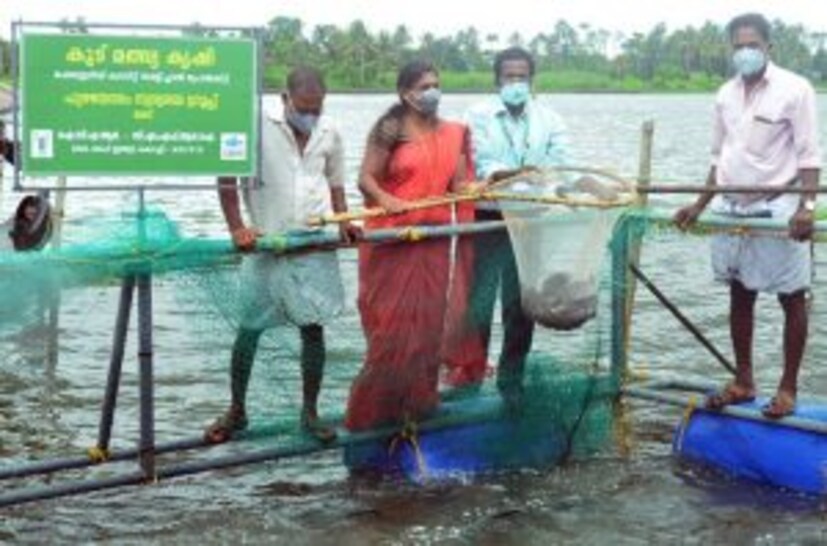 [caption id="attachment_424625" align="alignnone" width="300"] കൂടാതെ, കൃഷിയുടെ ഓരോ ഘട്ടത്തിലും കര്‍ഷകര്‍ക്ക് സിഎംഎഫ്ആര്‍ഐ സാങ്കേതിക സഹായവും നല്‍കി. പത്ത് മാസത്തിന് ശേഷം വിളവെടുപ്പ് നടത്തിയപ്പോള്‍ കരിമീനിന് ശരാശരി 380 ഗ്രാം വരെ വളര്‍ച്ചാനിരക്ക് ലഭിച്ചതായി കണ്ടെത്തി. അതിജീവന നിരക്ക് 95 ശതമാനമായിരുന്നു.വിളവെടുപ്പ് മരട് നഗരസഭാ വൈസ് ചെയര്‍പേഴ്‌സണ്‍ അഡ്വ രശ്മി സനില്‍ ഉദ്ഘാടനം ചെയ്തു.
 	