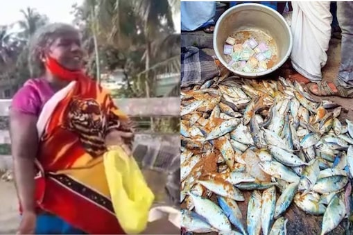 Karamana_Fish