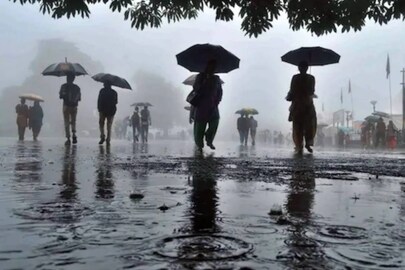 Rain Alert