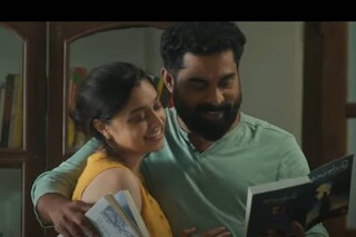 റോയ്