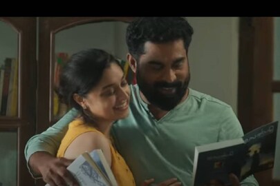 റോയ്