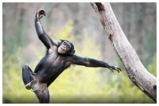 പ്രതീകാത്മക ചിത്രം പ്രതീകാത്മക ചിത്രം