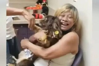 Credits: Facebook/Wisconsin Humane Society