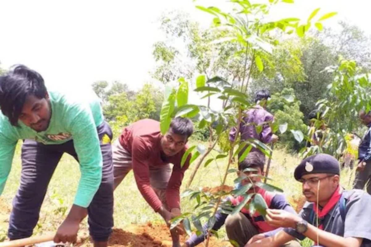 ഹരിത നായകൻ; 5000 വൃക്ഷ തൈകൾ നട്ട് കർണാടക സ്വദേശിയായ ഇരുപതുകാരൻ