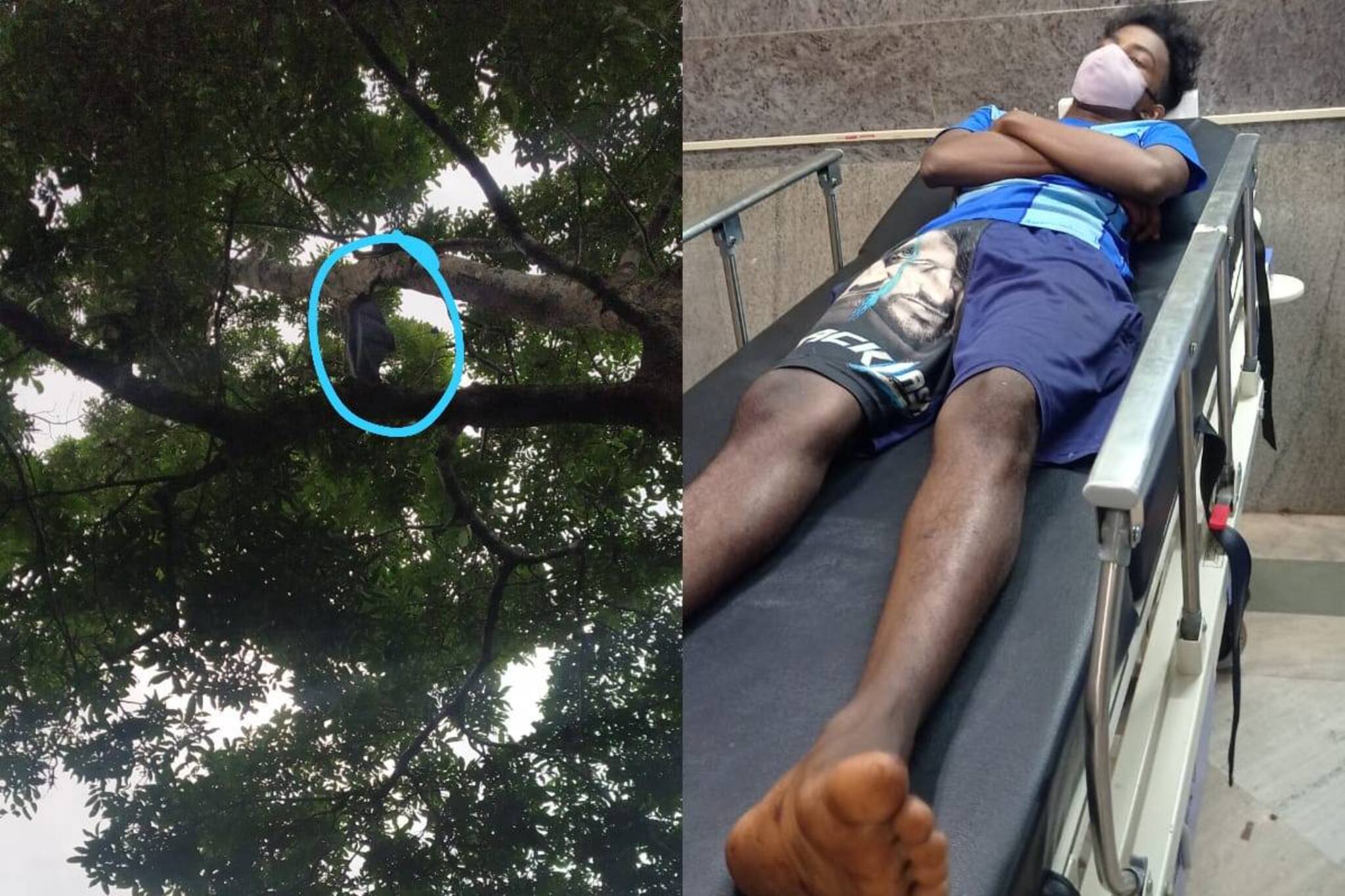 പഠനാവശ്യത്തിന് മരത്തിൽ കയറിയ വിദ്യാർത്ഥി വീണ് പരിക്കേറ്റ സംഭവം: അന്വേഷണത്തിന് ഉത്തരവിട്ട് മനുഷ്യാവകാശ കമ്മീഷൻ