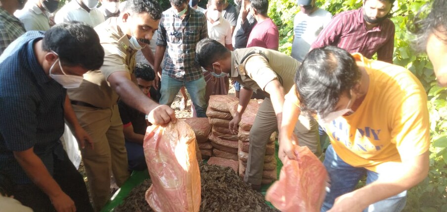  രണ്ട് പ്രതികൾ ഓടി രക്ഷപെട്ടു. വിഷ്ണു, സൽമാൻ എന്നിവരാണ് ഓടി രക്ഷപെട്ടതെന്ന വിവരവും അന്വേഷണസംഘത്തിന്  ലഭിച്ചിട്ടുണ്ട്. ലഹരി സംഘത്തിലെ മുഖ്യ സൂത്രധാരകനായ കാളികാവ് സ്വദേശിയെ പിടികൂടാനുള്ള ശ്രമത്തിലാണ് എക്സൈസ് സംഘം.  ചെറിയ പ്ലാസ്റ്റിക് പാക്കറ്റുകളിലായി ചാക്കിൽ കെട്ടിയ നിലയിലാണ് കഞ്ചാവ് സൂക്ഷിച്ചിരുന്നത്. കൂടാതെ ഹോണ്ട സിറ്റി കാറിൽ സൂക്ഷിച്ചിരുന്ന ഒരു ലിറ്ററോളം ഹാഷിഷ് ഓയിലും പിടികൂടിയിട്ടുണ്ട്.