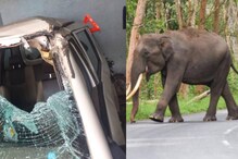 എക്സൈസ് സംഘത്തിനുനേരെ കാട്ടാനയുടെ ആക്രമണം; ജീപ്പ് കുത്തി ഉയർത്തി