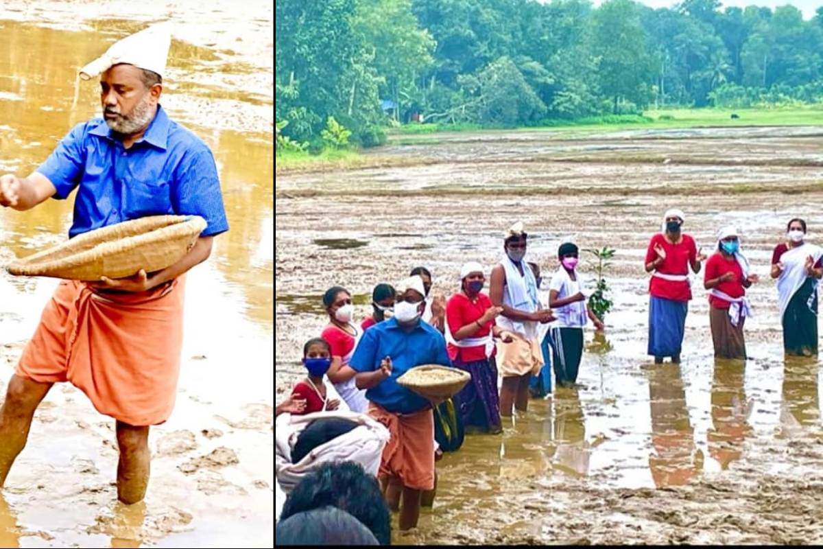 കൂട്ടായ്മയ്ക്കൊപ്പം വിത്തുവിതച്ച് കൃഷിമന്ത്രി പി. പ്രസാദ്‌