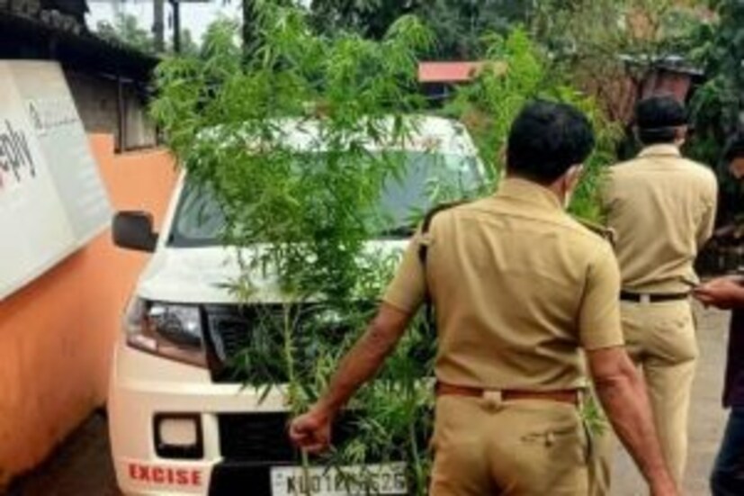 [caption id="attachment_450395" align="alignnone" width="300"] തളിപ്പറമ്പ് എക്‌സൈസ് സര്‍ക്കിള്‍ ഇന്‍സ്‌പെക്ടര്‍ ബി.കെ ശ്രീരാഗ് കൃഷ്ണയുടെ നേതൃത്വത്തിലുള്ള സംഘമാണ് പരിശോധന നടത്തിയത്.</dd>
 	<dd>[/caption]