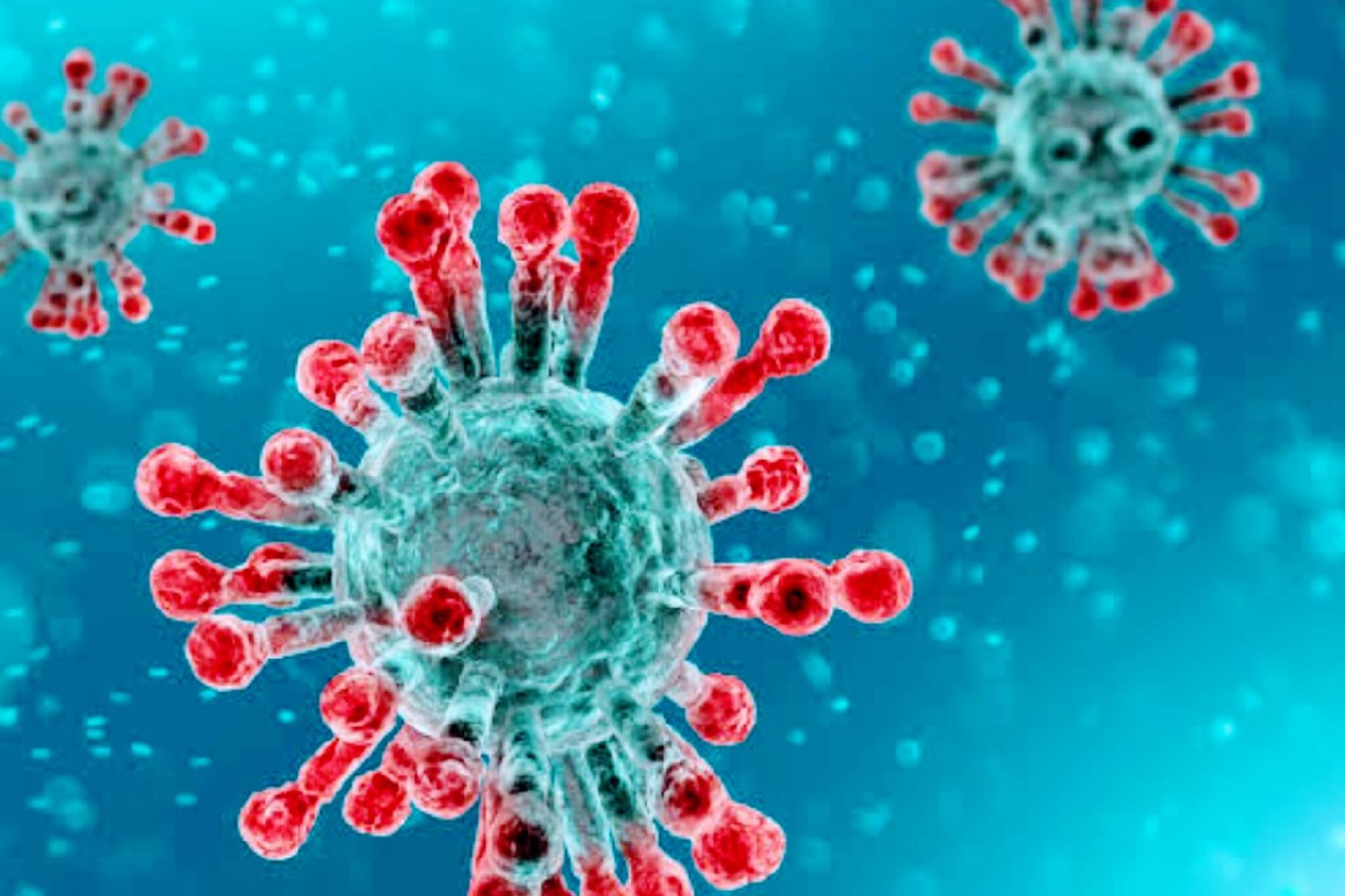 Covid 19 | സംസ്ഥാനത്ത് ഇന്ന് 6111 പേർക്ക് കോവിഡ് സ്ഥിരീകരിച്ചു; മരണം 51