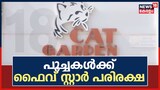 Video| പൂച്ചകൾക്ക് ഫൈവ് സ്റ്റാർ സൗകര്യവുമായി ഒരു വീട്