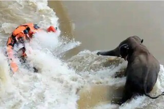 (ചിത്രം: ANI) (ചിത്രം: ANI)