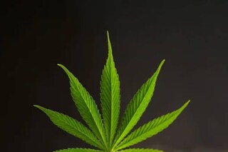 പ്രതീകാത്മക ചിത്രം