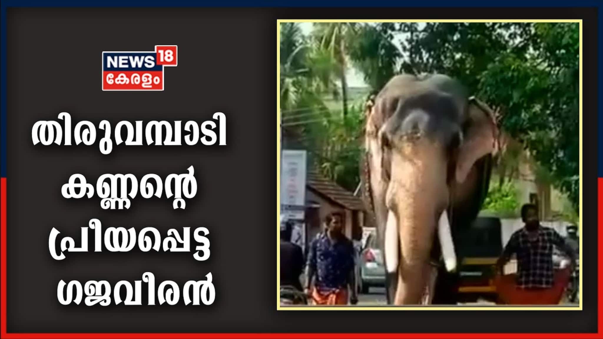 തിരുവമ്പാടി കണ്ണന്റെ പ്രിയപ്പെട്ടവനായ ഗജവീരൻ തിരുവമ്പാടി ചന്ദ്രശേഖരൻ