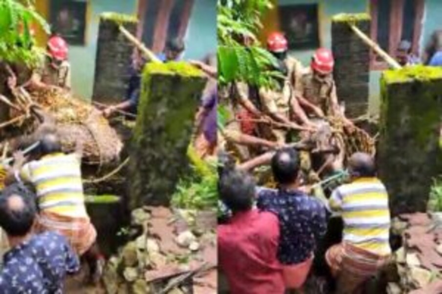  പാലോട് ഫോറസ്റ്റ് ഓഫീസില്‍ നിന്ന് എത്തിയ വനപാലകര്‍ക്ക് കലമാനെ കൈമാറി. രക്ഷാപ്രവര്‍ത്തനത്തില്‍ ഫയര്‍ ആന്‍ഡ് റെസ്‌ക്യൂ ഓഫീസര്‍മാരായ സുമിത്ത്, സജിത്ത് കുമാര്‍, ഹോംഗാര്‍ഡുമാരായ സതീശന്‍, സുരേഷ് എന്നിവര്‍ പങ്കെടുത്തു.