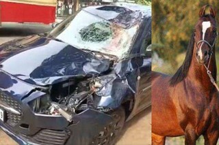 Horse_Accident Horse_Accident