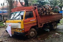 ആരാണ് മഹാരാജാസിലെ മരം വെട്ടുകാർ? അന്വേഷിക്കാൻ കമ്മീഷൻ വരുന്നു