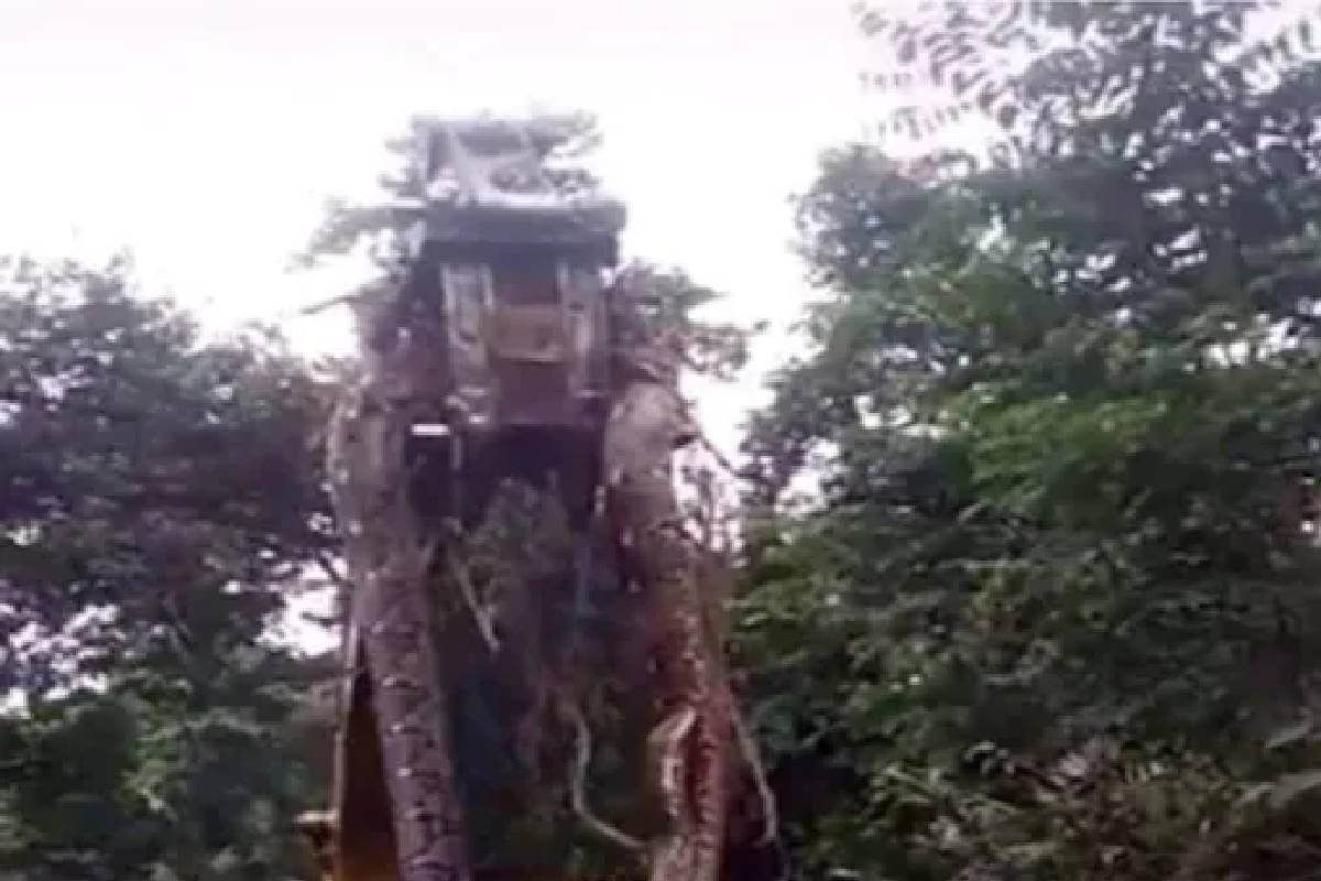 'ഭീമൻ' പാമ്പിനെ ക്രെയിന്‍ ഉപയോഗിച്ച് പൊക്കിയെടുക്കുന്ന ടിക് ടോക്ക് വീഡിയോ വൈറൽ