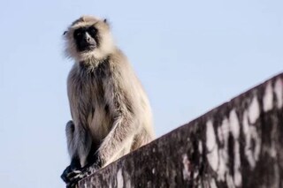 പ്രതീകാത്മക ചിത്രം
