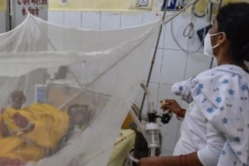 Dengue Fever| ഡെങ്കിപ്പനി പടരുന്നത് എങ്ങനെ? സ്വയം എങ്ങനെ രക്ഷ നേടാം? Dengue Fever| ഡെങ്കിപ്പനി പടരുന്നത് എങ്ങനെ? സ്വയം എങ്ങനെ രക്ഷ നേടാം?