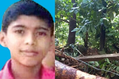അലന്‍ 